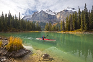 Images Dated 29th September 2011: Canada, Alberta, Jasper National Park. A male sea kayaker paddles on Maligne Lake