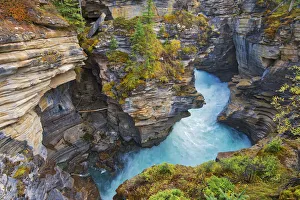 Images Dated 19th March 2019: Canada, Alberta, Jasper National Park. Athabasca River at Athabasca Falls