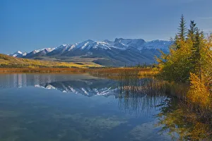 Images Dated 19th March 2019: Canada, Alberta, Jasper National Park. Reflections in Talbot Lake