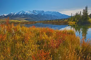 Images Dated 19th March 2019: Canada, Alberta, Jasper National Park. Reflections in Talbot Lake