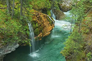 Images Dated 30th January 2022: Canada, Alberta, Jasper National Park