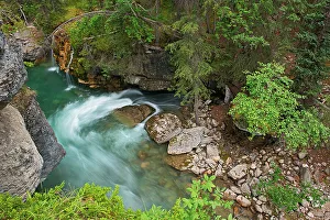 Images Dated 30th January 2022: Canada, Alberta, Jasper National Park
