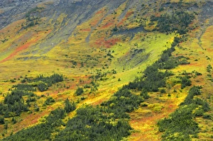 Images Dated 31st August 2007: Canada, Alberta, Kananaskis Country. Autumn in the Canadian Rocky Mountains. Credit as