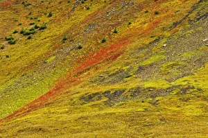 Images Dated 31st August 2007: Canada, Alberta, Kananaskis Country. Autumn in the Canadian Rocky Mountains. Credit as