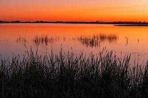 Reed Prints: Canada, Alberta, Kinbrook Island Provincial Park. Lake Newell at dawn