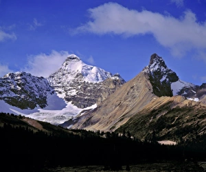 Jagged Prints: Canada, Alberta, Mt. Saskatchewan