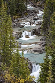 Images Dated 25th August 2019: Canada, Alberta. Nigel Creek, Banff National Park