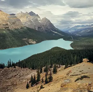 Striated Prints: Canada, Alberta, Peyto Lake. Striated mountains form a background for Peyto Lake