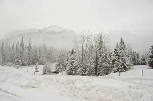 Canada, Alberta. VIA Rail Snow Train between Edmonton & Jasper. Winter views