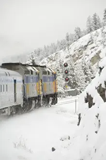 Images Dated 7th December 2008: Canada, Alberta. VIA Rail Snow Train between Edmonton & Jasper