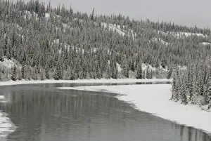 Images Dated 7th December 2008: Canada, Alberta. VIA Rail Snow Train between Edmonton & Jasper. Winter views