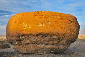 Images Dated 28th September 2009: Canada, Alberta, Red Rock Coulee Natural Preserve. Round sandstone concretion. Credit as
