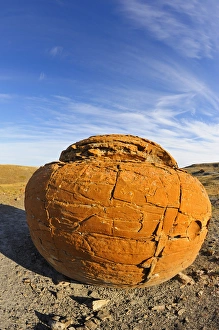 Images Dated 28th September 2009: Canada, Alberta, Red Rock Coulee Natural Preserve. Round sandstone concretion. Credit as