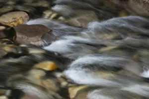 Johnston Canyon Prints: Canada, Alberta. Detail of river rocks and stream, Johnston Canyon, Banff National Park