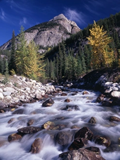 Scenics Prints: Canada, Alberta, View of in Banff National Park