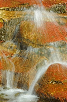Images Dated 30th August 2007: Canada, Alberta, Waterton Lakes National Park