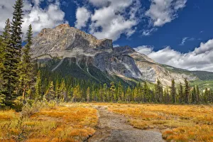Images Dated 23rd March 2020: Canada, Alberta, Yoho National Park. The President Range mountain and water landscape