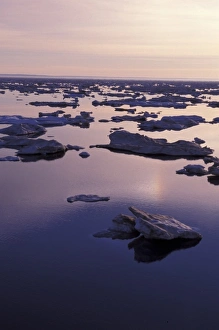 Melt Prints: Canada, Baffin Island. 2nd year ice melting, global warming