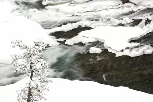 Canada, Banff, Bow River Falls Park, Snowy detail on Spray River