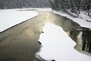 Canada, Banff, Spray River fork in snowy conditions