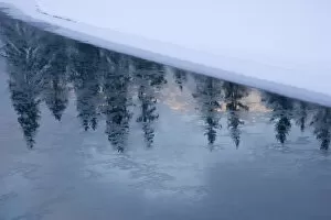 Canada, Banff, Spray River, reflection