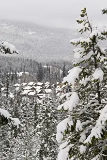 Lodging Prints: Canada, BC, Whistler. Whistler / Blackcomb resort housing seen from Lost Lake Trail system for hiking
