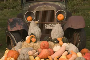 <b class=qtipBold><figcaption>CANADA, British</figcaption></b><br>CANADA, British Columbia, Keremeos. Autumn / Harvest / Pumpkins, Okanagan Valley Fruit Town<br><em>© Walter Bibikow / Danita Delimont Agency</em> CANADA, British
