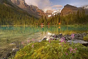 Images Dated 3rd August 2006: Canada, British Columbia