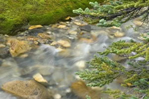 Images Dated 1st August 2006: Canada, British Columbia