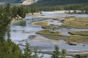 Images Dated 29th July 2007: Canada, British Columbia