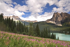 Images Dated 31st July 2006: Canada, British Columbia