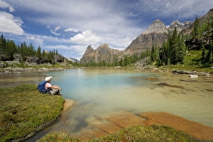 Images Dated 6th August 2006: Canada, British Columbia