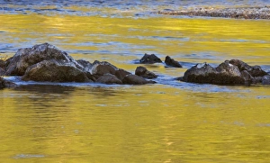 Images Dated 30th June 2009: Canada, British Columbia