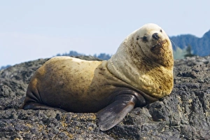 Canada, British Columbia