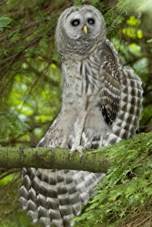 Canada, British Columbia