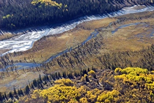 Images Dated 3rd October 2009: Canada, British Columbia