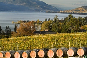 Images Dated 18th October 2005: Canada, British Columbia