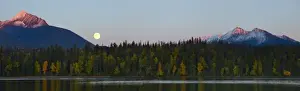 Images Dated 22nd September 2010: Canada, British Columbia, Bowron Lakes Provincial Park