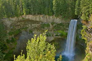 Canada, British Columbia, Brandywine Falls Provincial Park, Waterfall off cliff into pool