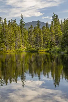 Images Dated 3rd April 2020: Canada, British Columbia, Brandywine Falls Provincial Park. Swim Lake landscape