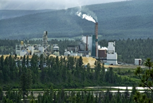 Images Dated 3rd June 2007: Canada: British Columbia, Columbia River Basin, Columbia Wetlands, Canal Flats, Tembec