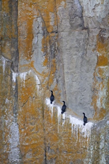Canada, British Columbia, Gabriola Island