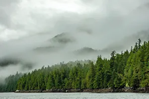 Images Dated 1st June 2023: Canada, British Columbia, Inside Passage. Morning fog on forested mountain