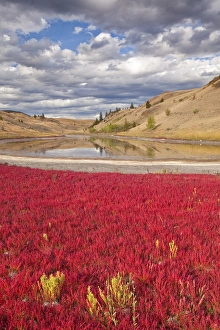 Images Dated 18th September 2009: Canada, British Columbia, Kamloops, Lac Du Bois Grasslands Park. Landscape of small lake
