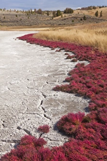 Canada, British Columbia, Kamloops, Lac Du Bois Grasslands Park. Scenic of grasses