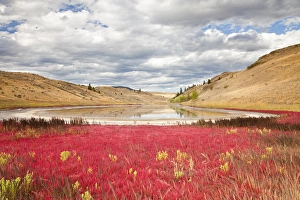 Images Dated 18th September 2009: Canada, British Columbia, Kamloops, Lac Du Bois Grasslands Park. Landscape of small lake