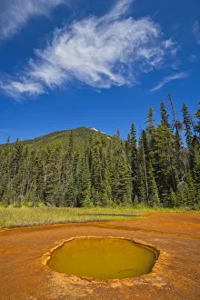 Images Dated 23rd March 2020: Canada, British Columbia, Kootenay National Park. Iron-rich Paint Pots mineral springs