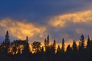 Prints of Canada, British Columbia, Liard River Hot Springs Provincial Park. Sunset and forest silhouette. Credit as: Mike Grandmaison / Jaynes Gallery / DanitaDelimont.com Images Dated 2020 March: Canada, British Columbia, Liard River Hot Springs Provincial Park