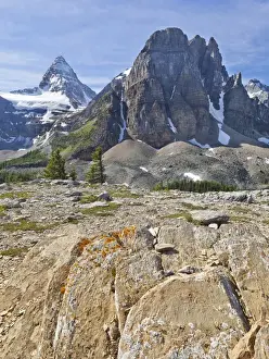 Images Dated 20th August 2011: Canada, British Columbia, Mount Assiniboine Provincial Park. Scenic of Mt. Assiniboine