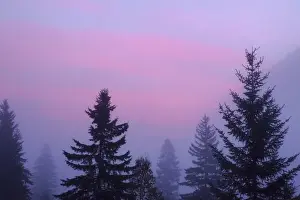 Images Dated 22nd September 2009: Canada, British Columbia, Mount Robson Provincial Park. Foggy sunrise scenic. Credit as